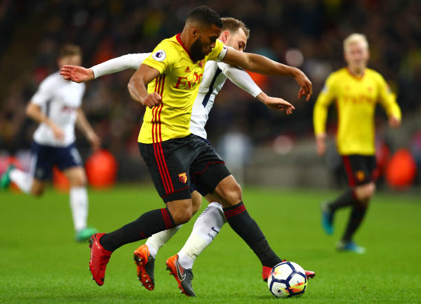 从而在夏窗 从而在夏窗